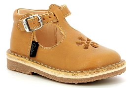 ASTER BIMBO Jaune