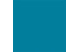 FAMACO TEIGNANT FAMACOLOR 15ML Bleu