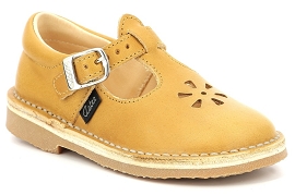 ASTER DINGO Jaune