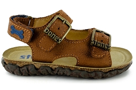 STONES AND BONES WHAM Camel