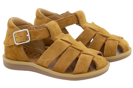 POM DAPI POPPY DADDY Camel