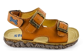 STONES AND BONES WHAM Camel