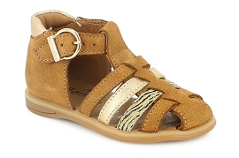 Camel