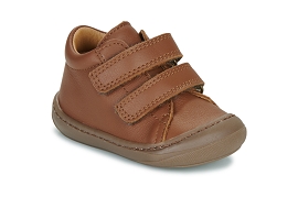 GBB COUCOU Camel