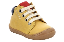 ASTER CHYOSO Jaune