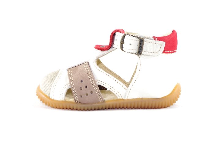 Aster dirlir beige1164201_2