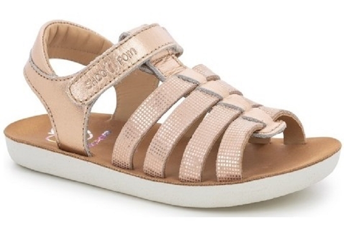 Shoopom goa spart rose3328601_1