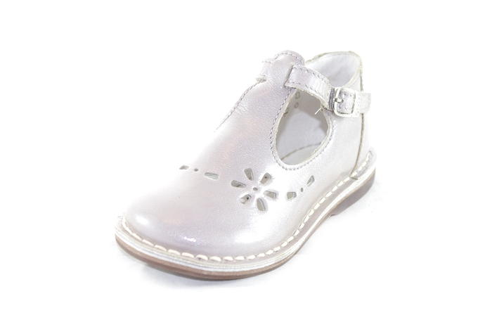Aster vigo gris5125702_1