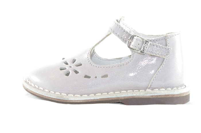 Aster vigo gris5125702_2