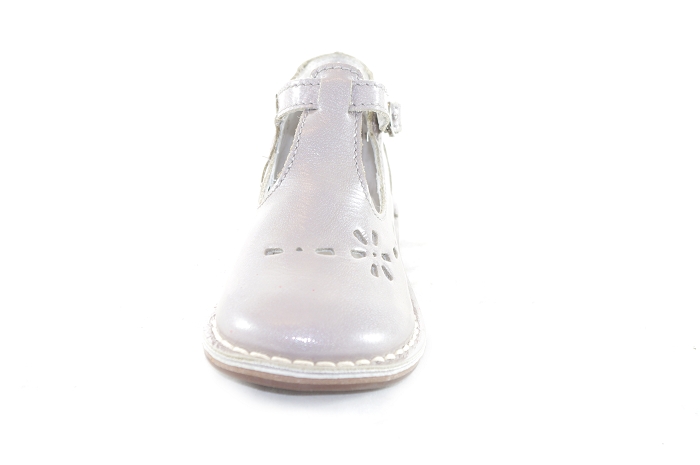 Aster vigo gris5125702_4