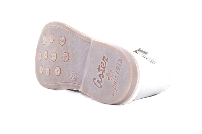 Aster vigo gris5125702_6