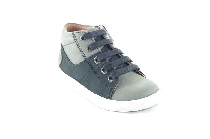 Aster stubi gris8136701_1