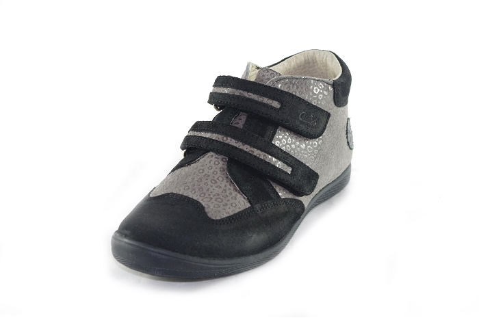 Aster gio gris8177701_1