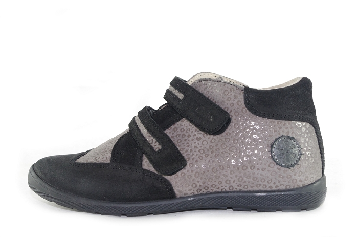 Aster gio gris8177701_2