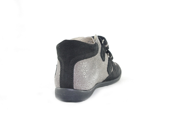 Aster gio gris8177701_5