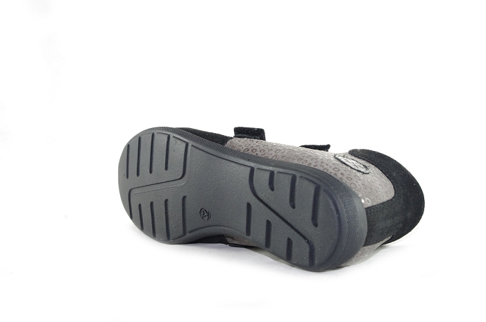 Aster gio gris8177701_6