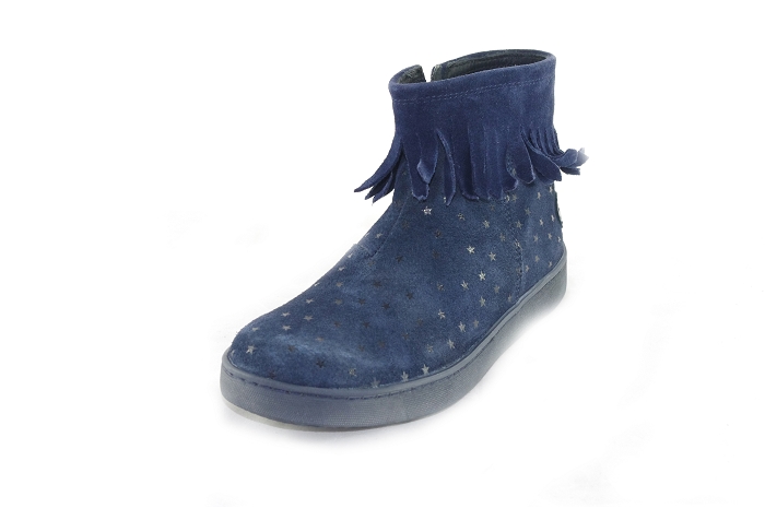 Aster sibile franges bleu8179302_1