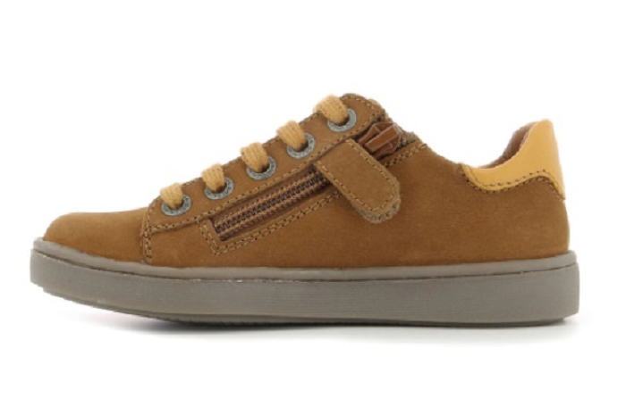 Aster solio marron8179701_3