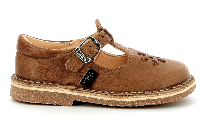 Aster dingo camel8205201_2