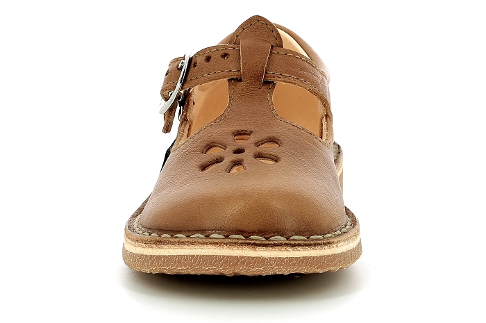 Aster dingo camel