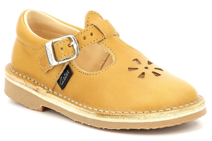 Aster dingo jaune8205207_1