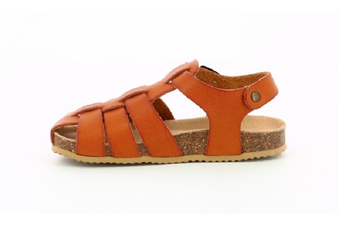 Aster bayoune camel8205501_3