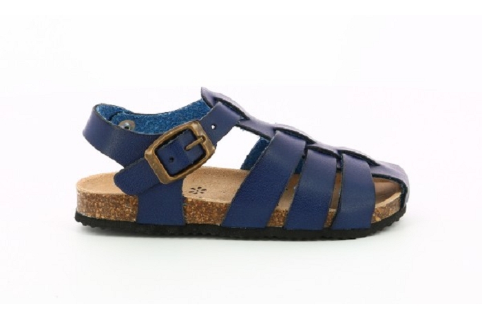 Aster bayoune bleu8205502_2