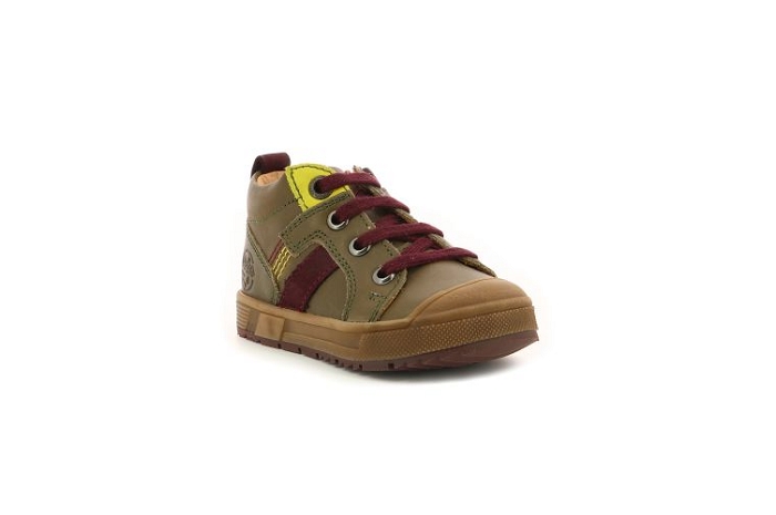 Aster babybo kaki8213102_1