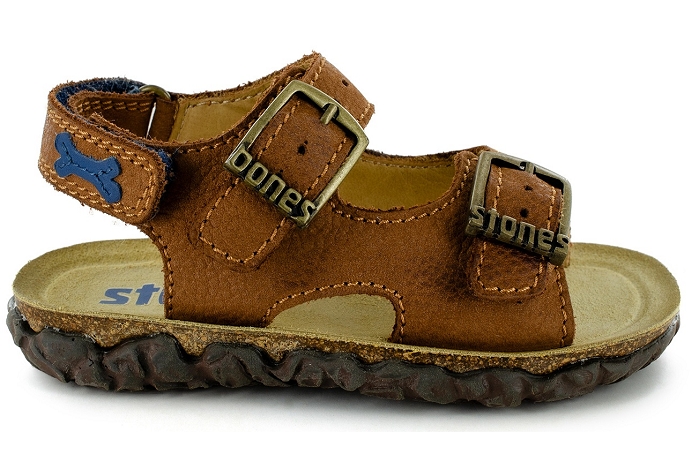 Stones and bones wham camel8329401_1