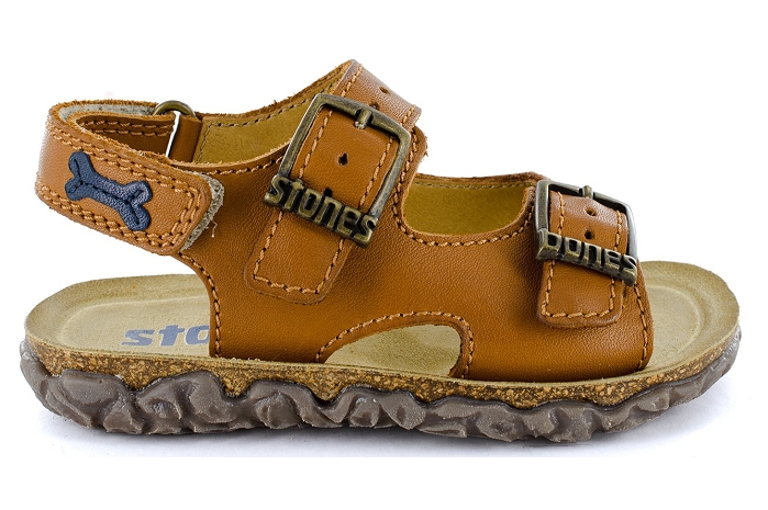 Stones and bones wham camel8329406_1