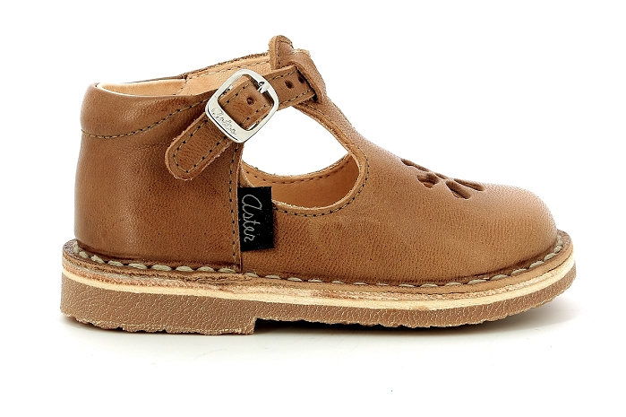 Aster bimbo 2 camel8330102_2