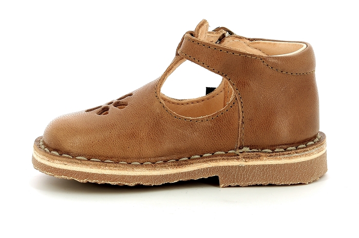 Aster bimbo 2 camel8330102_4