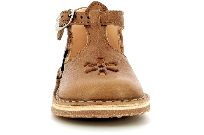 Aster bimbo 2 camel8330102_5