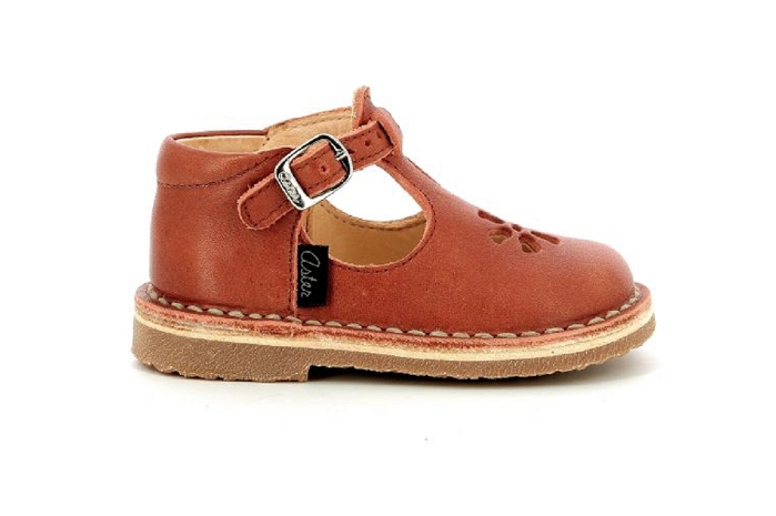 Aster bimbo 2 orange8330103_2