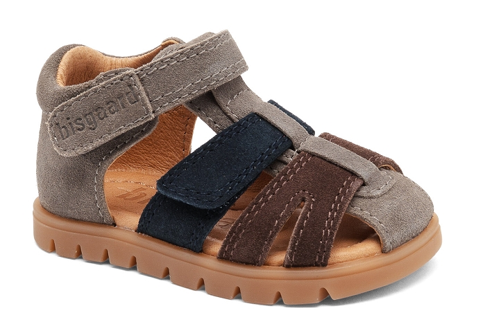 Bisgaard frans g gris8395702_1