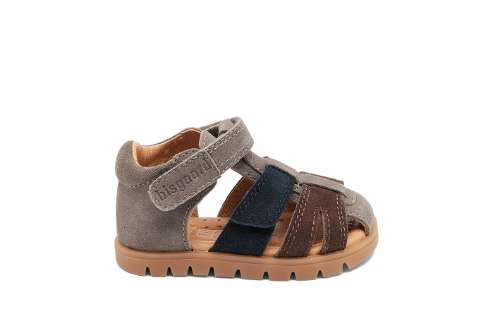 Bisgaard frans g gris8395702_2