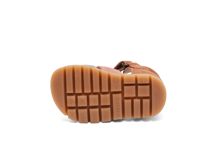 Bisgaard frans f rose8395801_4