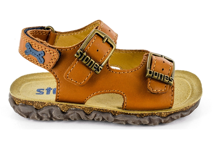 Stones and bones wham camel8403802_1