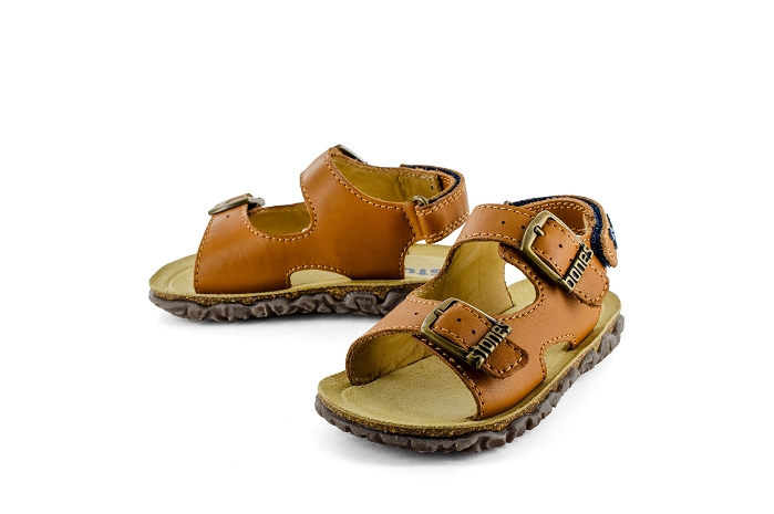 Stones and bones wham camel8403802_2