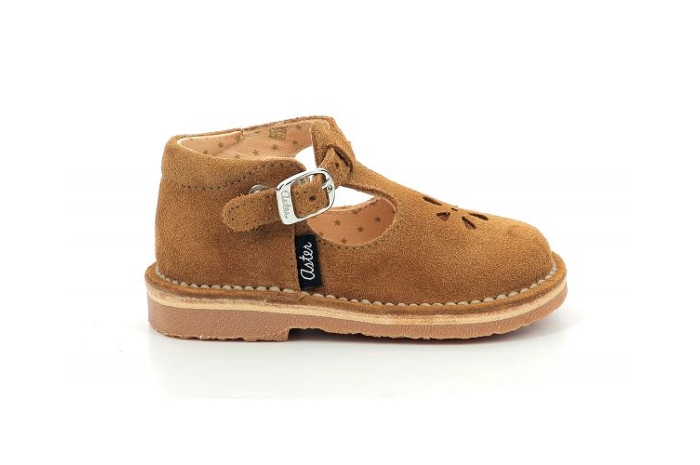 Aster bimbo bonton camel9615501_2