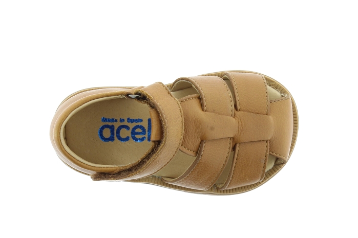 Acebos 1235at camel9669901_5