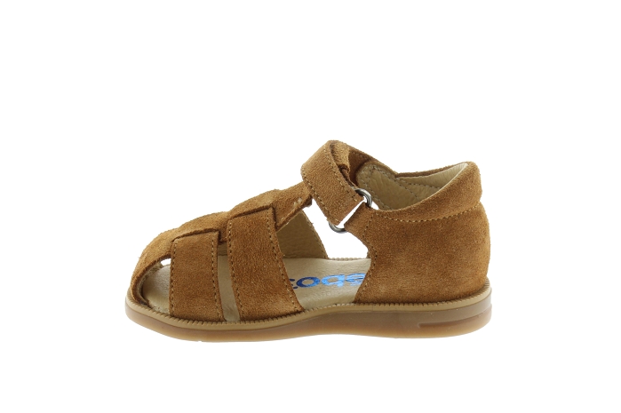 Acebos 1235se camel9670001_3