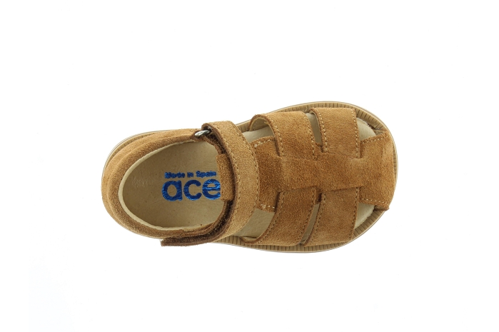 Acebos 1235se camel9670001_5