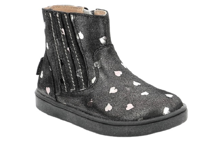 Aster welsea noir9703201_1